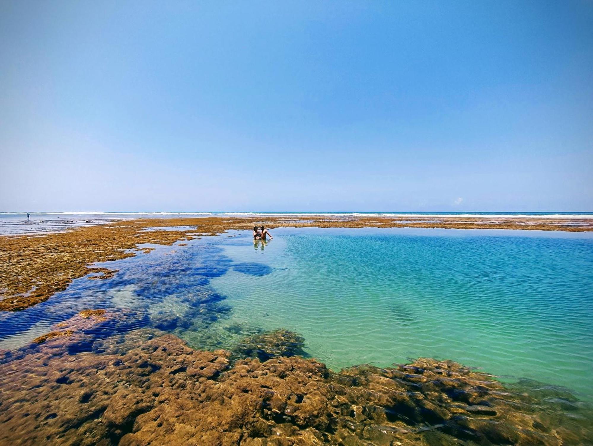 Piscinas Naturais De Praia Do Forte Εξωτερικό φωτογραφία